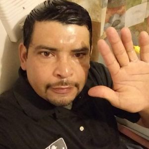 Meet your Posher, Wilber